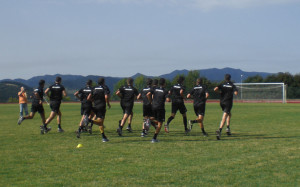 arbitri